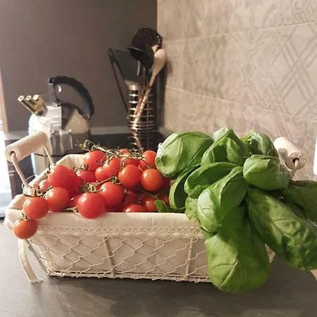 White House * Cagliari